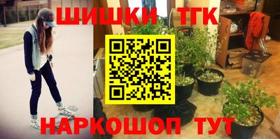стаф Братск