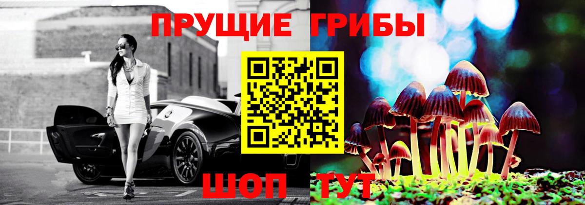 Галлюциногенные грибы Psilocybe Волоколамск